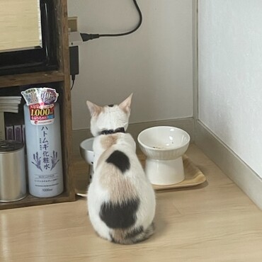 の写真