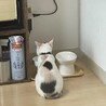 の写真