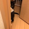 出待ち