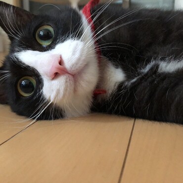 の写真