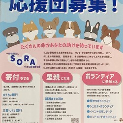 わんマル各務原inオアシスパーク サムネイル2