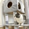 ぼのぼのおまる