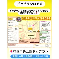 保護犬の譲渡会(ユメカナエフェス) サムネイル2