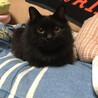 くぅちゃん❗️大好き