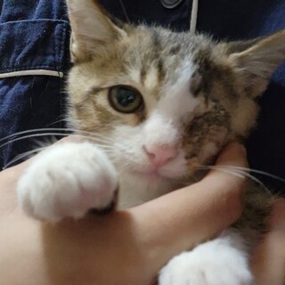 ハンデがあっても変わらないかわいさ