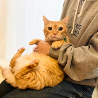 【甘えん坊のキャリアっ子】せんくん