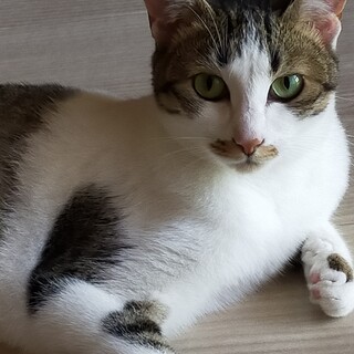 若くてきれいなジュリさん