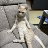 ながのけん