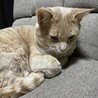 の写真