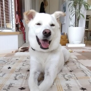 にこにこ明るく素直☆ノアくん