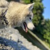 れおたんっ