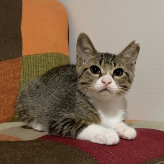 【別の場所でご縁をいただきました】アタシからみ♡