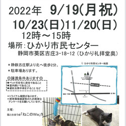 ねこのWa 猫譲渡会
