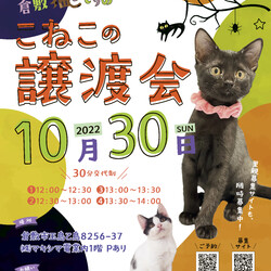 ほごっこ子猫の譲渡会（予約制）