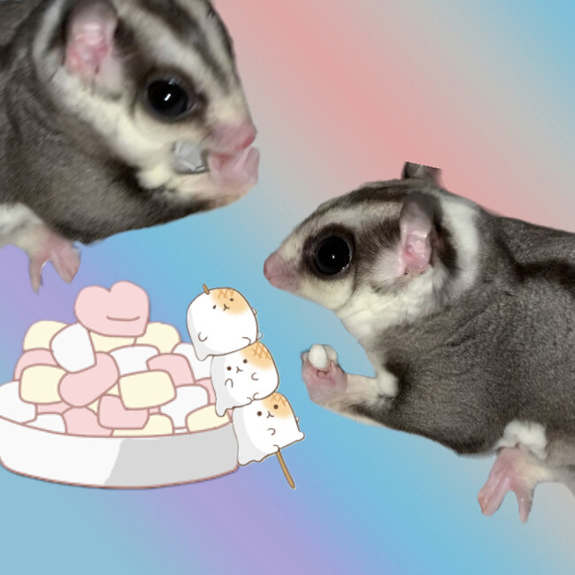 ふわまる‪‪❤︎‬のカバー写真