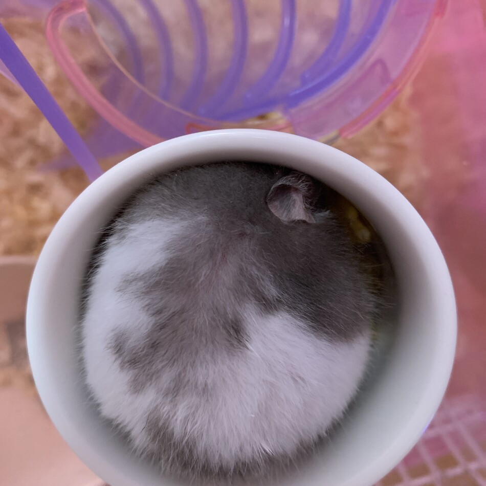 Ｋくんのカバー写真