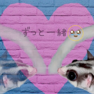 一人っ子のMちゃん♡       ᑎ ᑎ    ♡     