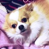 とみーとみ