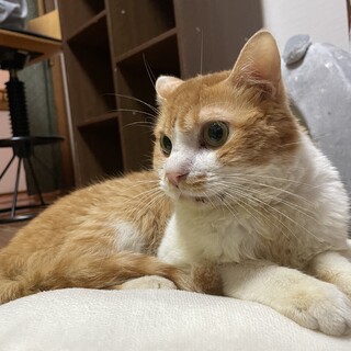 キャリアがありますが幸せになってほしいです