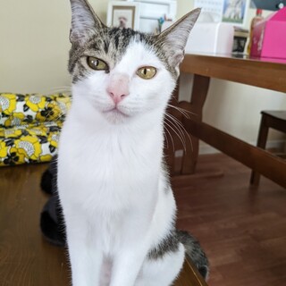 やんちゃな元気娘♡　さんご♀