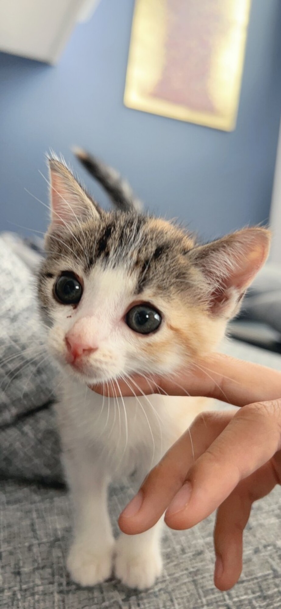 R4mgdpbsif6 7m R4mgdpbsif6 7m