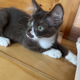 ♦︎抱っこが大好きな男の子♦︎