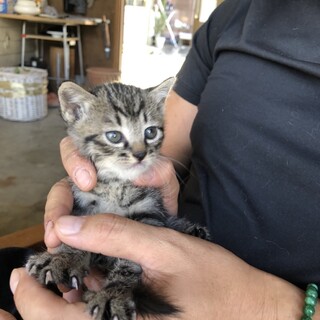 ありがとうございました！