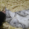 kouichiro.h