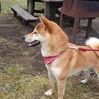 ちょっと臆病で人見知り