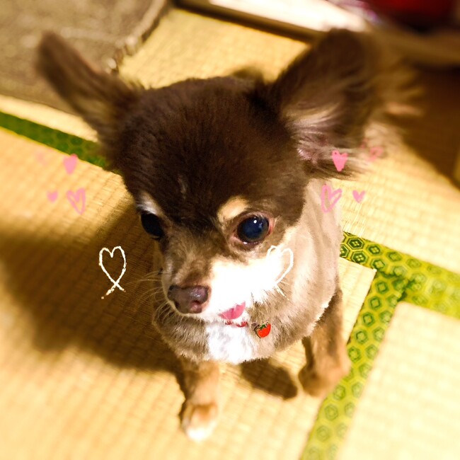 アツコのカバー写真