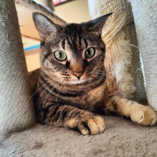 好奇心旺盛な はるかちゃん