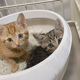 過酷な防波堤で生まれた子