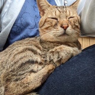 住み着いて困ってます