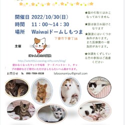 保護猫譲渡会inWaiwaiド－ムしもつま
