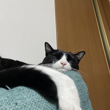 ソファーのヘリ