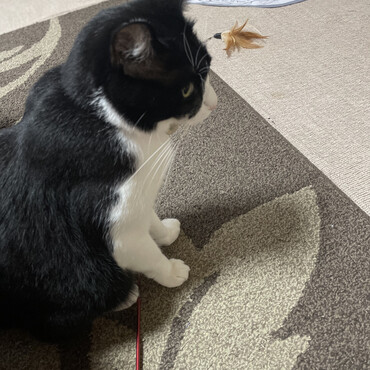 遊び待ち