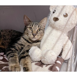 【9か月♂】甘えん坊で食いしん坊男子