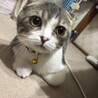 実家にて