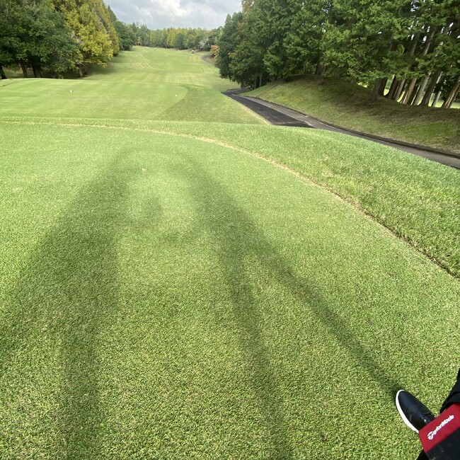 納豆たまごのカバー写真