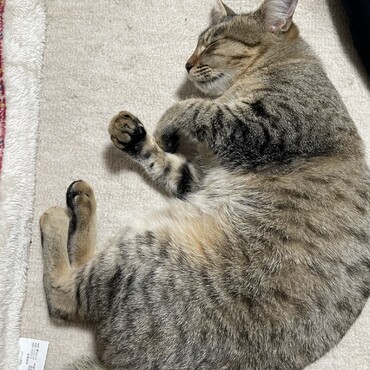の写真