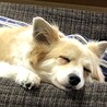 タックモカノアさん