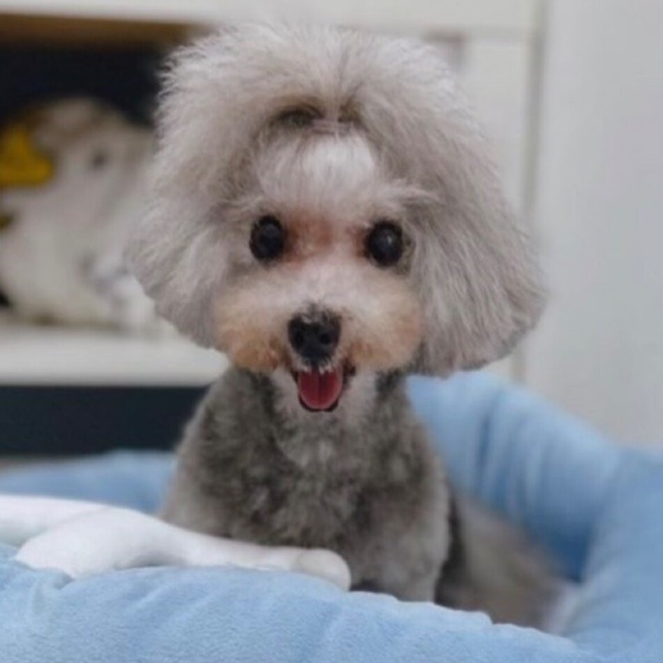 あーすのカバー写真