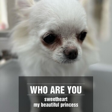 10歳になりました