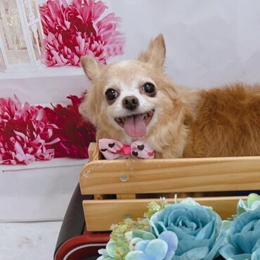 9歳になりました