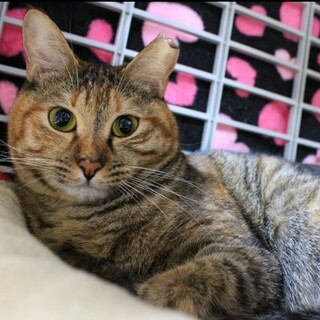 おっとり女子のミティちゃん♡