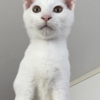 【別の場所でご縁をいただきました】せいくん