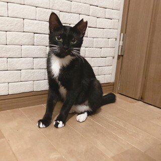 ニーナ