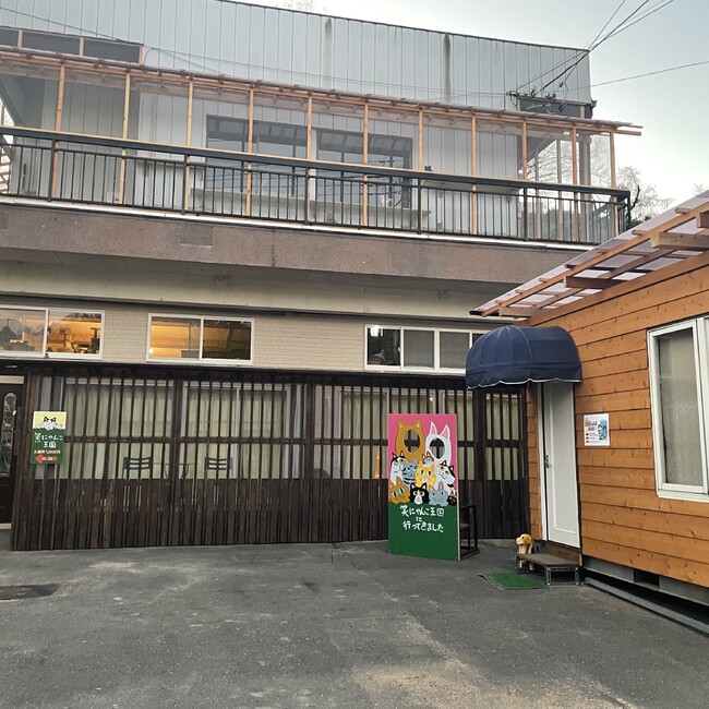 一般社団法人笑にゃんこ王国のカバー写真