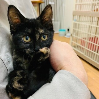 ペコちゃん◆お膝も大好き！遊びも大好き！