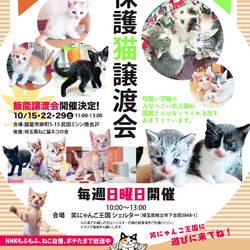 飯能譲渡会 サムネイル1